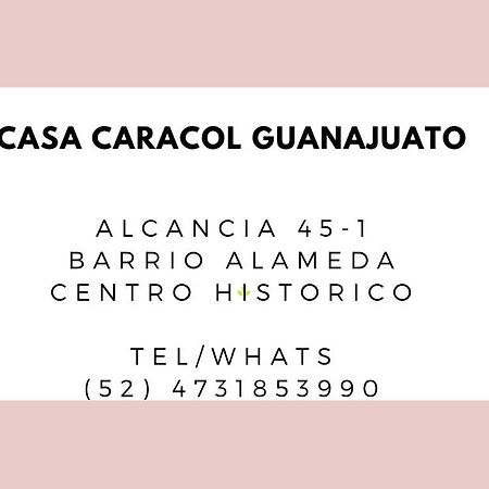 Casa Caracol Guanajuato Aparthotel Eksteriør bilde